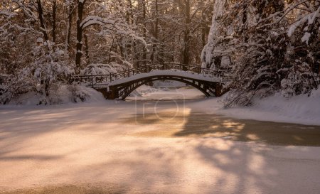Téléchargez les photos : Belle rivière gelée au lever du soleil. nature arrière-plan - en image libre de droit