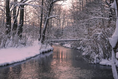Téléchargez les photos : Paysage hivernal avec rivière et forêt - en image libre de droit