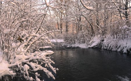 Téléchargez les photos : Beau paysage avec neige et arbres - en image libre de droit