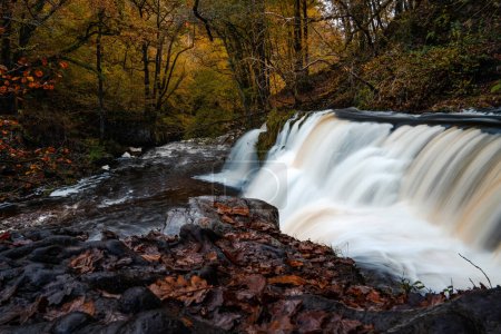 Photo for Four Waterfalls walk, Waterfall Country, Brecon Beacons national park, South Wales, the United Kingdom. Long exposure stream in Autumn forest. - Royalty Free Image