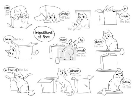 Illustration for Prepositions of place. English prepositions. A clear example with a cat and a box. on, in, inside, outside, under, front, above, below, right, left, behind, between, near, by. Cartoon character. Set - Royalty Free Image