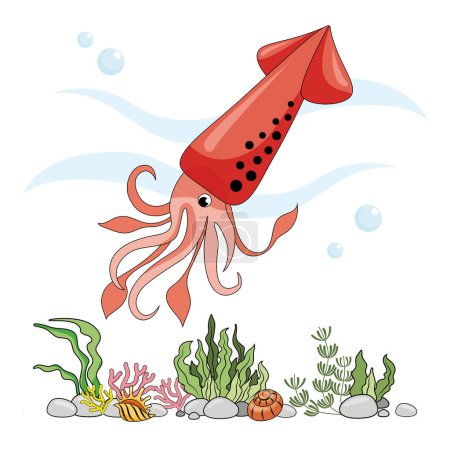 Figure squid. Insulated squid on a white background, sea bottom. Color illustration in the style of cartoon. Seafloor with algae, shells and corals