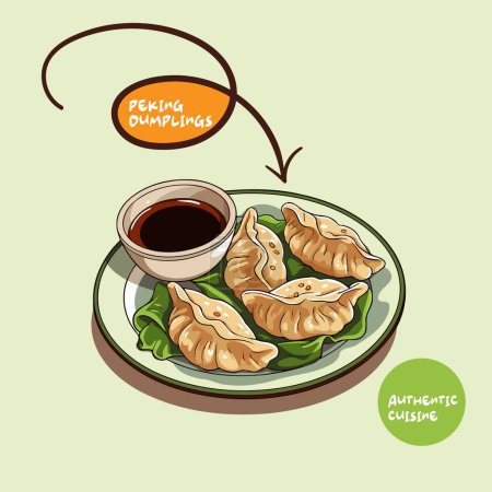 Vector illustration of Gyoza dumplings with soy sauce. Hand drawn Vector