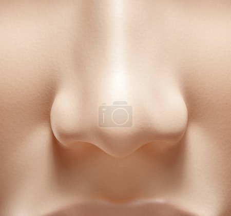 Photo for 3D rendering illustration of human nose macro close-up front view - Royalty Free Image