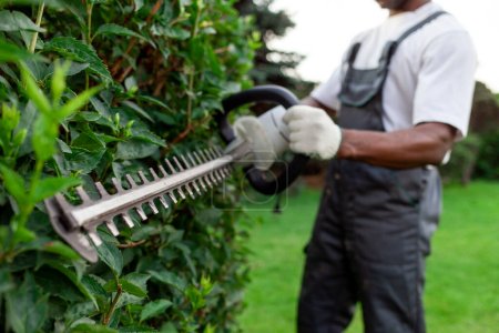 garden worker in uniform cuts bushes, african american man works in the garden with garden electric tool, pruning trees and bushes, close-up
