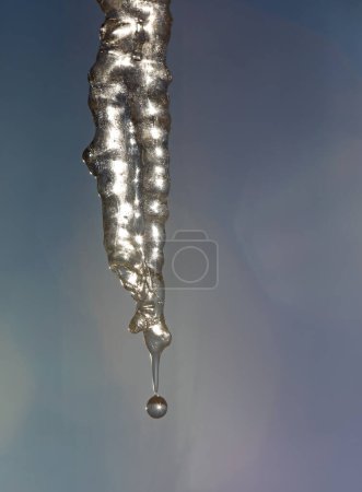 Photo for Icicle and water drop - Royalty Free Image