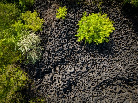 Photo for Aerial top view of the stark contrast between a massive landfill of used car tires and the surrounding green trees. The scale of the tire dump is striking, highlighting the negative impact of human waste on the environment. - Royalty Free Image