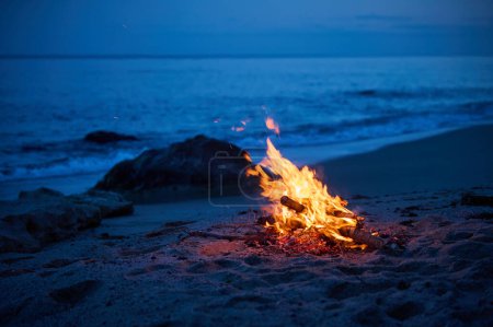 Téléchargez les photos : Un feu de camp brûle le soir sur une plage de sable déserte au bord de la mer. - en image libre de droit
