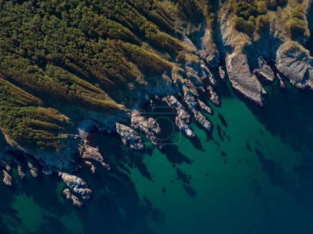 Photo for Aerial view of the rocky, wild coast of the Black Sea in Bulgaria, with cliffs, beaches, and green forests. - Royalty Free Image