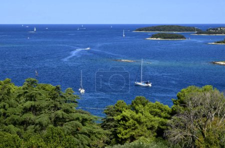 Téléchargez les photos : Paysage marin de la mer Adriatique, Vrsar (Orsera), Istrie, Croatie. Voiliers en mer bleue - en image libre de droit