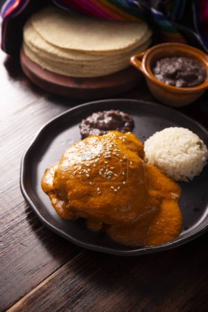 Photo for Encacahuatado. Mexican mole made from peanuts, dried chilies, sesame seeds, tomatoes and other spices. It is served bathing pieces of beef, pork or chicken or in Enmoladas. - Royalty Free Image
