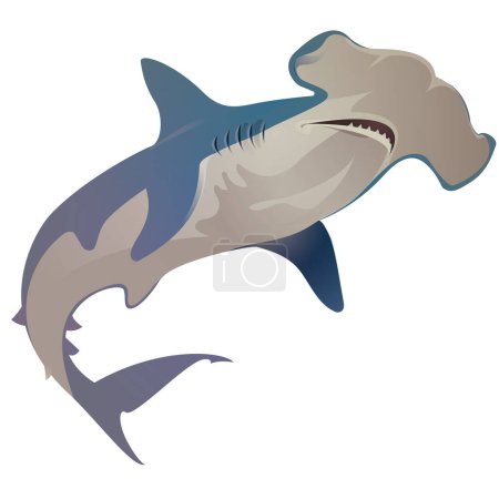 Téléchargez les illustrations : Tête de marteau lisse, vecteur requin marteau - en licence libre de droit