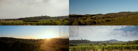 Photo for Collection of beautiful natural landscape views with trees and vineyards - Royalty Free Image