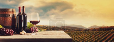 Téléchargez les photos : Bouteilles de vin rouge, verre à vin, tonneau, raisins et vignoble en arrière-plan : expérience de vinification et de dégustation de vin, bannière avec espace de copie - en image libre de droit
