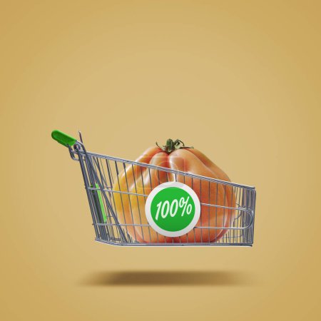 Photo for Flying shopping cart with fresh tomato, organic vegetables and grocery shopping concept - Royalty Free Image