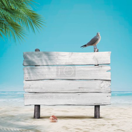 Téléchargez les photos : Vieux panneau en bois et mouette drôle sur la plage, concept de vacances d'été - en image libre de droit