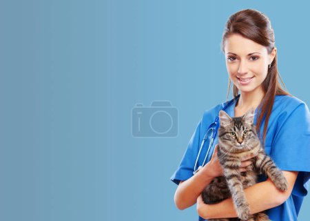 Tierärztlicher Dienst: lächelnde Tierärztin mit süßer Katze, Transparent mit Kopierplatz