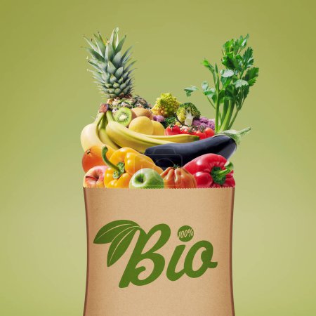 Téléchargez les photos : Fresh organic vegetables in a grocery bag, healthy eating and grocery shopping concept - en image libre de droit