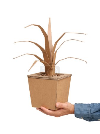 Téléchargez les photos : Main tenant une plante décorative en carton recyclé, artisanat et concept de créativité - en image libre de droit