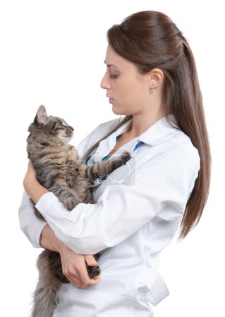 Téléchargez les photos : Vétérinaire avec un chat dans les bras - en image libre de droit