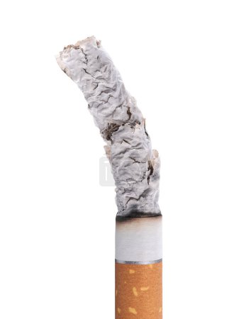 Téléchargez les photos : Cigarette brûlant sur fond vert, arrêter de fumer concept - en image libre de droit