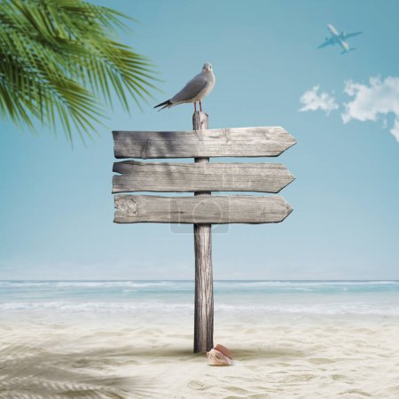 Photo for Seagull and old wooden signpost on the beach, happy summer holiday concept - Royalty Free Image