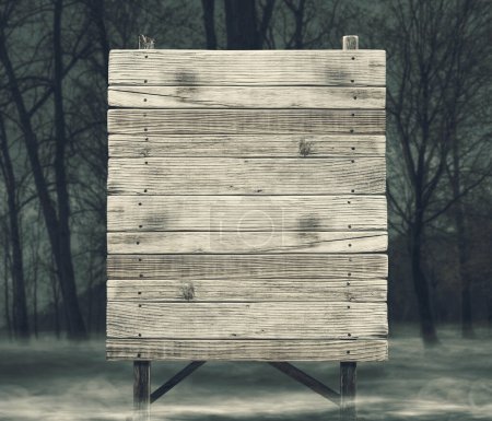 Téléchargez les photos : Ancienne enseigne en bois altérée dans la forêt entourée de brouillard la nuit, concept de mystère et d'horreur, espace de copie - en image libre de droit
