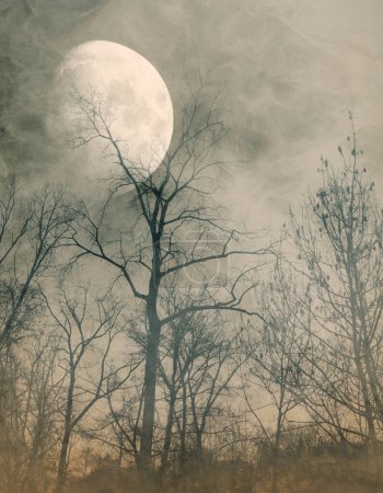 Foto de Árboles secos en el bosque brumoso y luna llena en el cielo por la noche, fondo de horror - Imagen libre de derechos