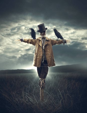 Foto de Espantapájaros malvados con cabeza de cráneo y cuervos, Halloween y concepto de horror - Imagen libre de derechos