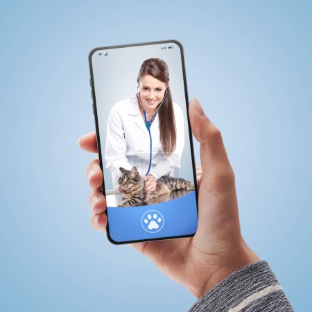 Photo for Smiling female veterinarian on smartphone screen, she is holding a cat, online doctor concept, online veterinarian service and pet care - Royalty Free Image