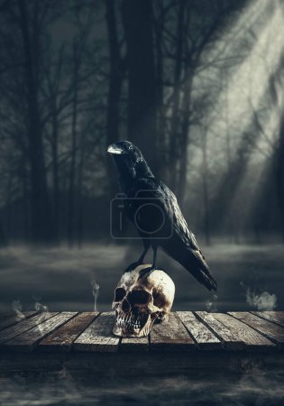 Foto de Cuervo espeluznante parado sobre un cráneo humano por la noche, concepto de horror y misterio - Imagen libre de derechos