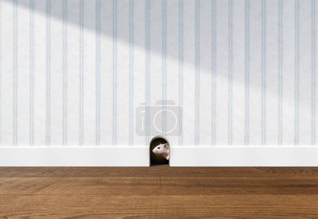 Photo for Cute tiny mouse hiding in a hole in the house and looking around - Royalty Free Image
