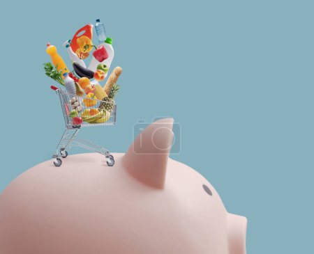 Shopping cart filled with groceries on a piggy bank, budgeting and offers concept