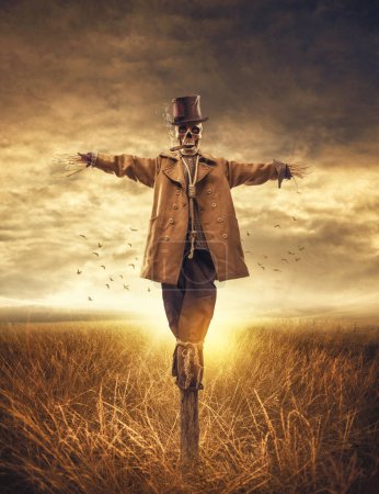 Photo for Creepy scarecrow with skull head in the fields at sunset, horror concept - Royalty Free Image