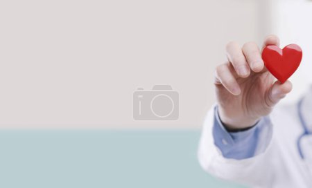 Photo for Doctor holding a heart, cardiologist and cardiovascular diseases concept - Royalty Free Image
