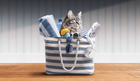 Téléchargez les photos : Chat mignon dans un sac de plage : emmenez votre animal en vacances - en image libre de droit