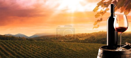 Téléchargez les photos : Bouteille de vin et verre à vin plein sur un tonneau en bois, vue sur le vignoble en arrière-plan - en image libre de droit