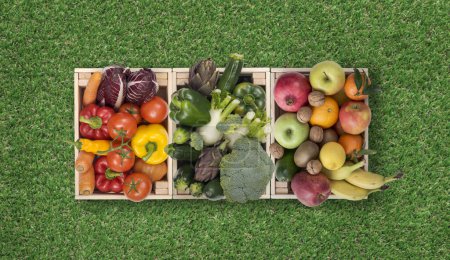 Téléchargez les photos : Fruits et légumes frais savoureux dans des caisses en bois sur l'herbe, vue de dessus, concept d'aliments sains - en image libre de droit