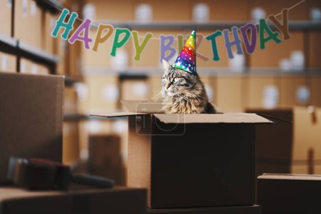 Téléchargez les photos : Chat mignon portant un chapeau de fête dans une boîte surprise d'anniversaire à l'entrepôt, concept de célébration et de livraison - en image libre de droit