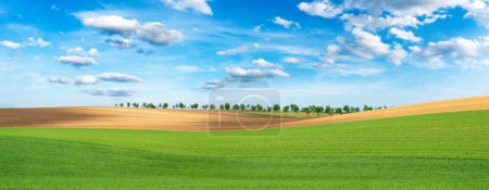 Téléchargez les photos : Belle journée d'été sur les champs verts contre ciel nuageux bleu - en image libre de droit