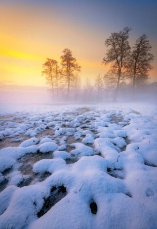 Téléchargez les photos : Beau coucher de soleil d'hiver avec ciel coloré - en image libre de droit