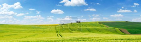 Photo for Beautiful summer day over green fields against blue cloudy sky - Royalty Free Image