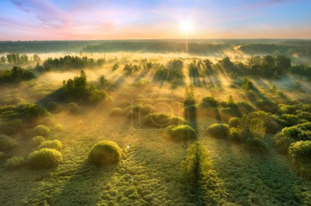 Téléchargez les photos : Beau paysage aérien ensoleillé du matin - en image libre de droit