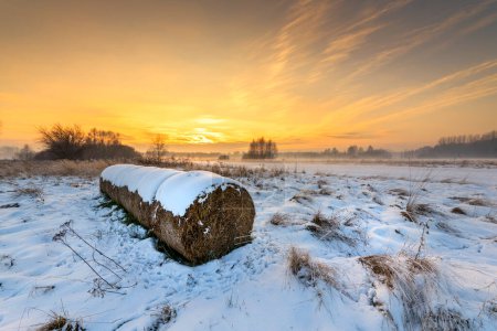 Téléchargez les photos : Beau coucher de soleil d'hiver sur les champs - en image libre de droit