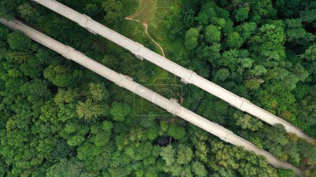 Aerial view of old stone train bridge in the forest 
