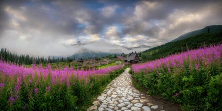 Foto de Hermoso amanecer de verano en las montañas - Hala Gasienicowa en Polonia - Tatras - Imagen libre de derechos