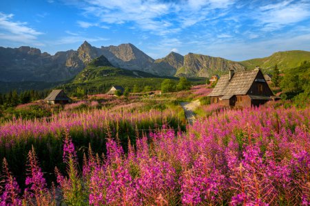 Foto de Hermosa mañana de verano en las montañas - Hala Gasienicowa en Polonia - Tatras - Imagen libre de derechos