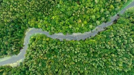 Foto de Río natural en el bosque - vista aérea - Imagen libre de derechos