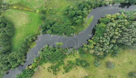 Téléchargez les photos : Rivière naturelle dans la forêt - vue aérienne - en image libre de droit