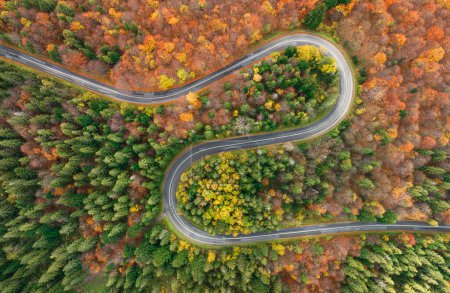 Route sinueuse entre la forêt d'automne - vue aérienne 